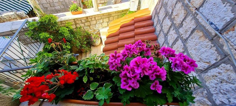 Bed & Breakfast Dionis Вис Екстериор снимка